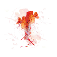 Posy-2