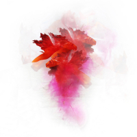 Posy-3