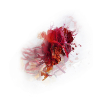 Posy-4