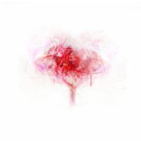 Posy-5