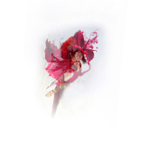 Posy-8