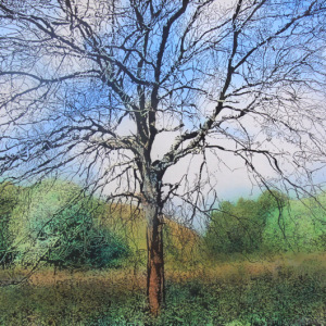 Swinyard Hill