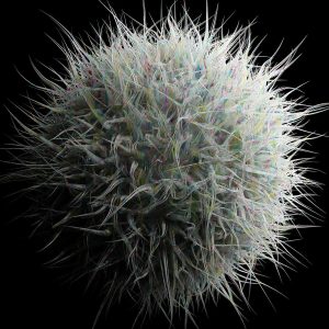 Soft_System-5