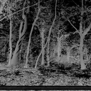 Apparitions