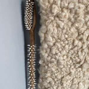 Wayfarer-detail-20242025