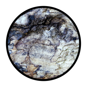  Pattern Study 19, digital photograph, giclée print
