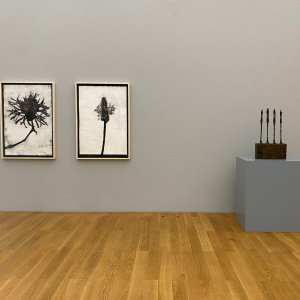 4_Carol-Wyss-INTO-THE-WILD-Hilti-Art-Foundation
