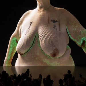 The Needlecast Rhapsody at Ars-Electronica