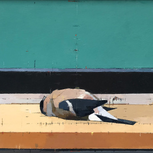 Mark-Dunford-Beautiful-Bullfinch
