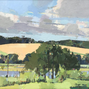 Mark-Dunford-Big-Bright-Field