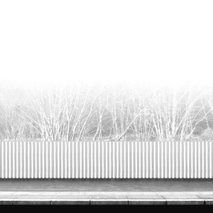 PALISADE 01