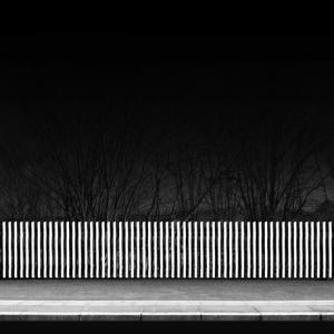 PALISADE 02