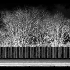 PALISADE 07