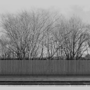 PALISADE 08