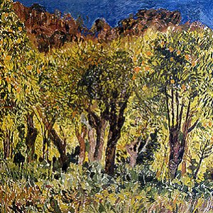Orange Grove, Gaucin