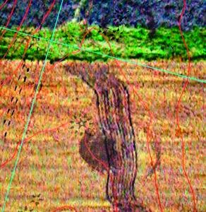Deverill Divide