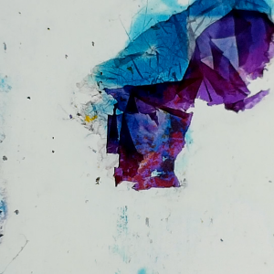 3_Tillere_dreams_film_still