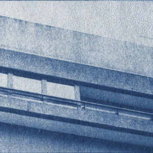 4_Tillere_pigeons_film_still
