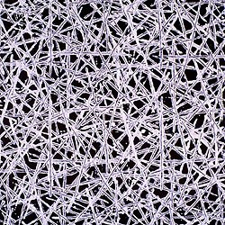 White Lattice