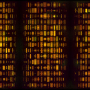 Corrosion 1 (detail), generative photomontage, direct to media print on brushed dibond