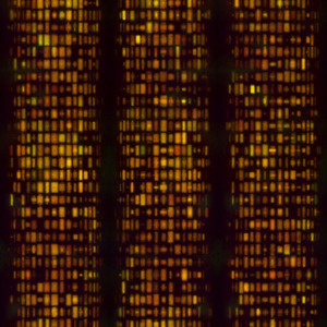 Corrosion 1, generative photomontage, direct to media print on brushed dibond