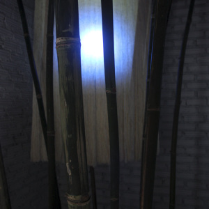 Multitudinous Entity, generative audiovisual installation at H-Gallery, Chiang Mai