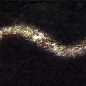 Vibrating Strings, still image from the generative audiovisual work