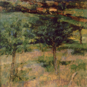 Peter Morrell