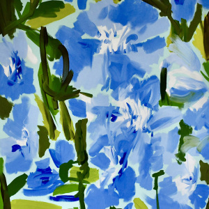 3-mullaniff-delphinium