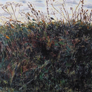 Threatened Common Land - The Wormwood Scrubs